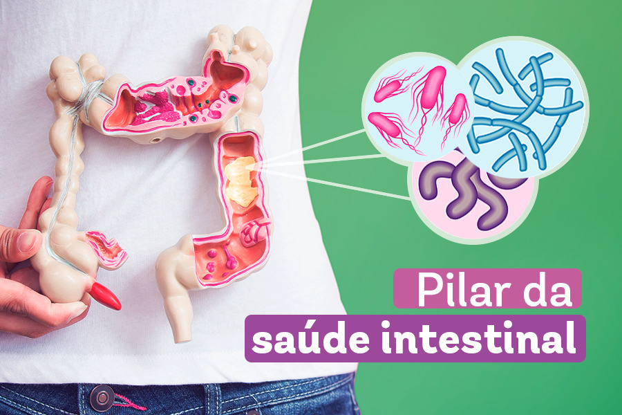 Mulher segurando na frente da barriga um modelo de um intestino com elementos gráficos representando a flora intestinal e os dizeres pilar da saúde intestinal