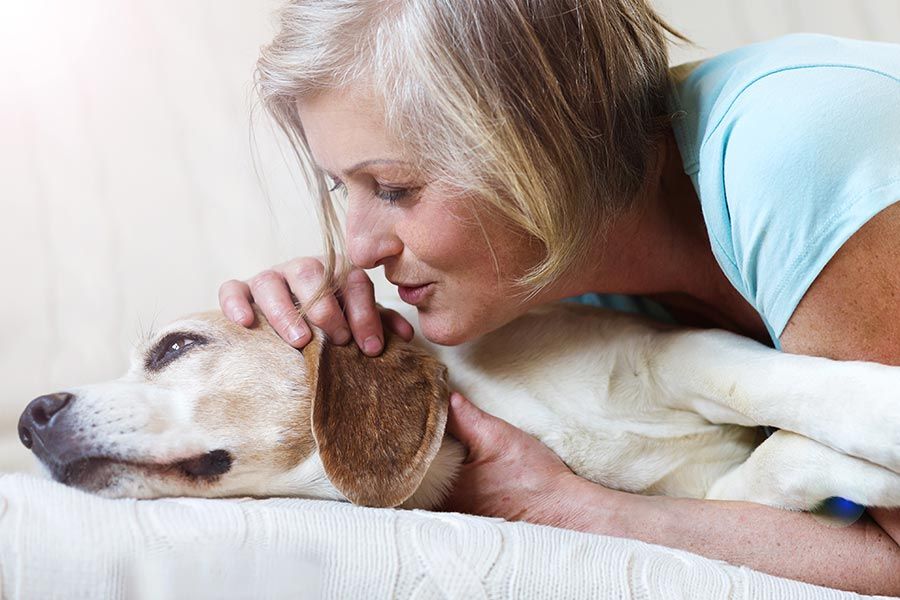 Mulher idosa abraçando e apalpando seu animal de estimação com o intuito de conhecer o seu cão