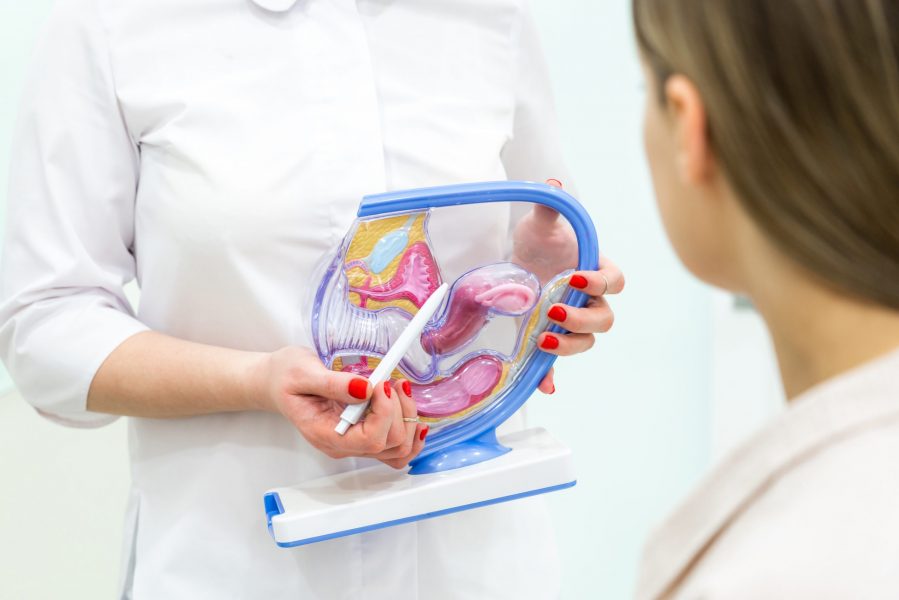 Ginecologista mostrando para uma paciente que tem infertilidade um modelo do sistema reprodutor feminino