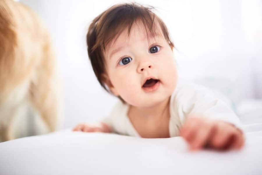 Sinais de autismo: como identificar o TEA em bebês de até 2 anos?