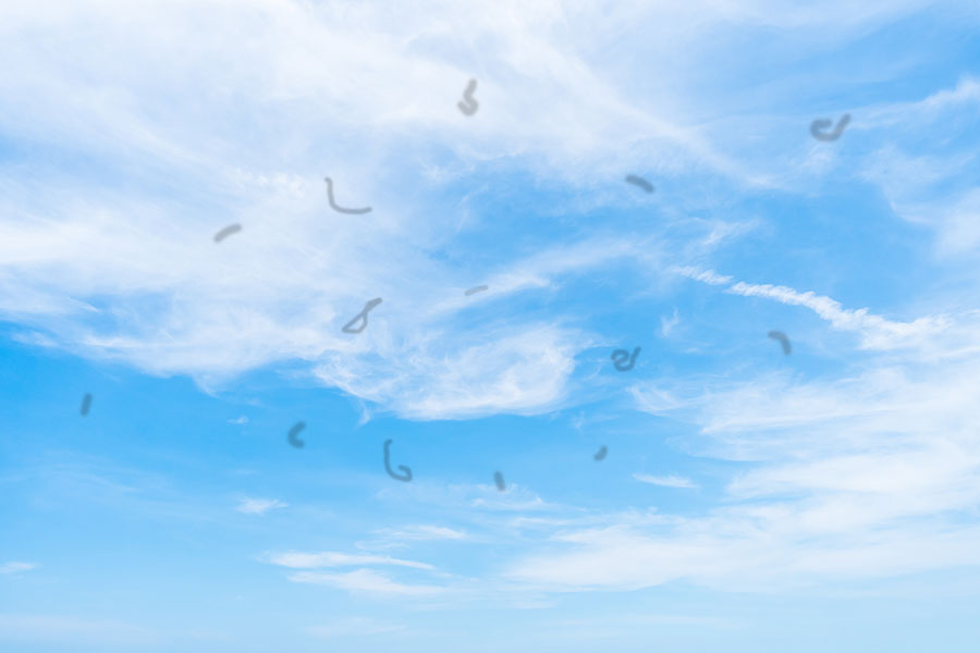 Céu com nuvens e pontos pretos flutuantes indicando as moscas volantes.
